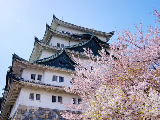 名古屋城の桜のイメージ