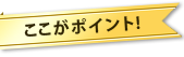 ここがポイント!