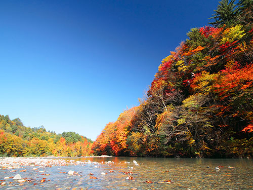 秋旅におすすめの旅行 ツアー特集 2021 9月 10月 11月 近畿日本ツーリスト