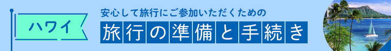 ハワイ旅行の準備と手続き