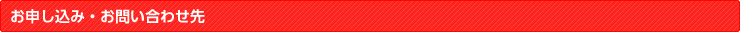 \݁E₢킹