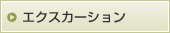 エクスカーション