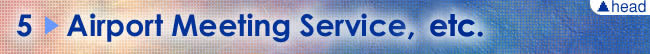 5. Airport Meeting Service, Etc.