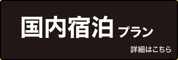 国内宿泊プラン