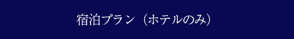 宿泊プラン（ホテルのみ）