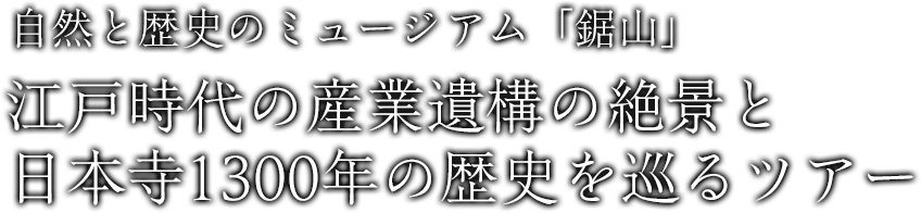 自然と歴史のミュージアム「鋸山」：江戸時代の産業遺構の絶景と日本寺1300年の歴史を巡るツアー