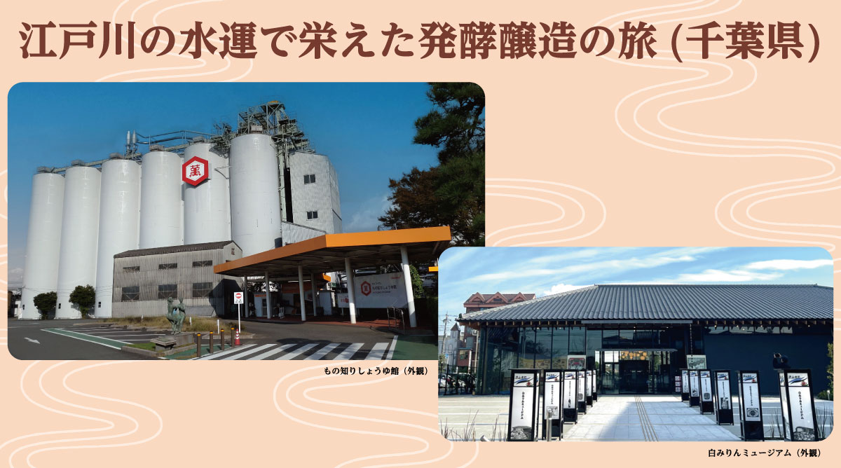 江戸川の水運で栄えた発酵醸造の旅（千葉県）