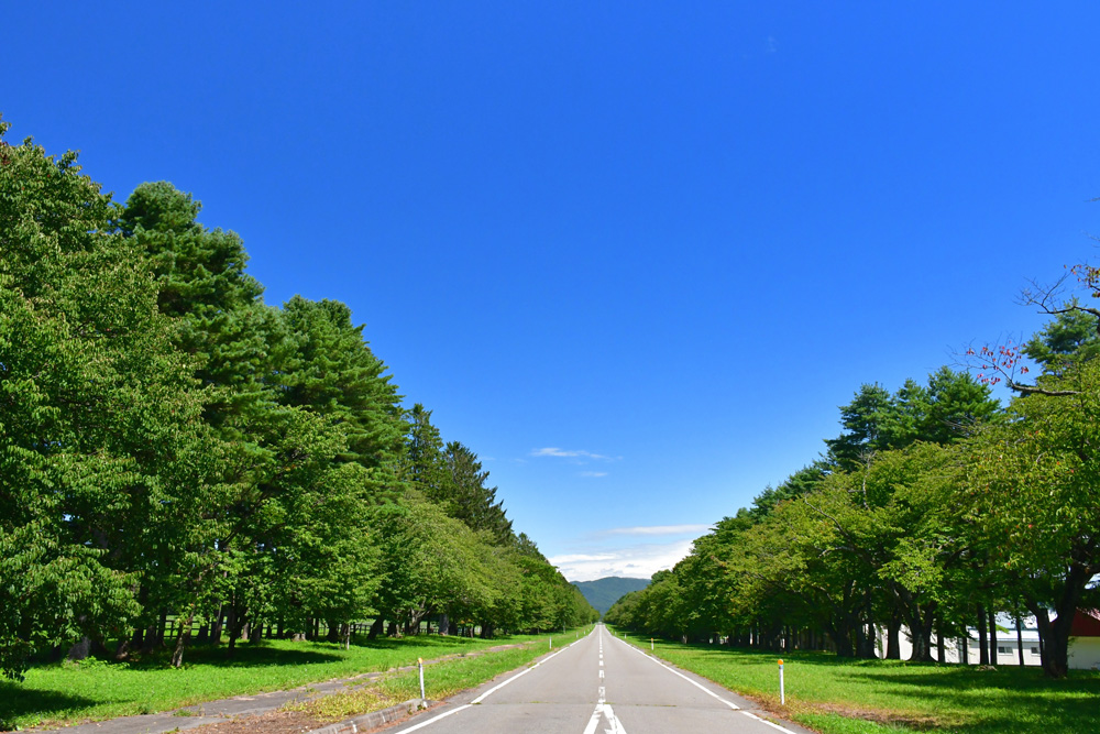 二十間道路