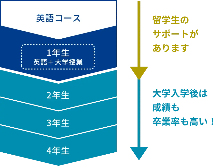 留学生のサポートがあり、大学入試後は成績も卒業率も高い！