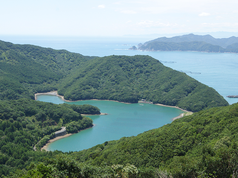 見江島展望台から望む「ハートの入り江」