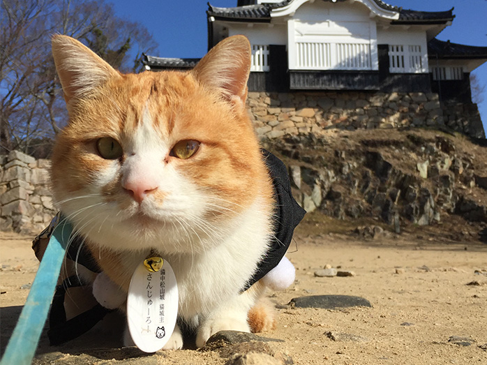 猫城主さんじゅーろー