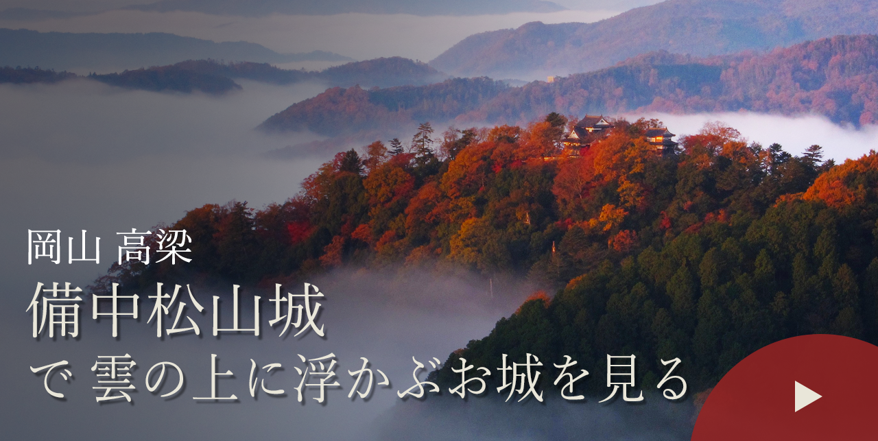 岡山 高梁　備中松山城で雲の上に浮かぶお城を見る