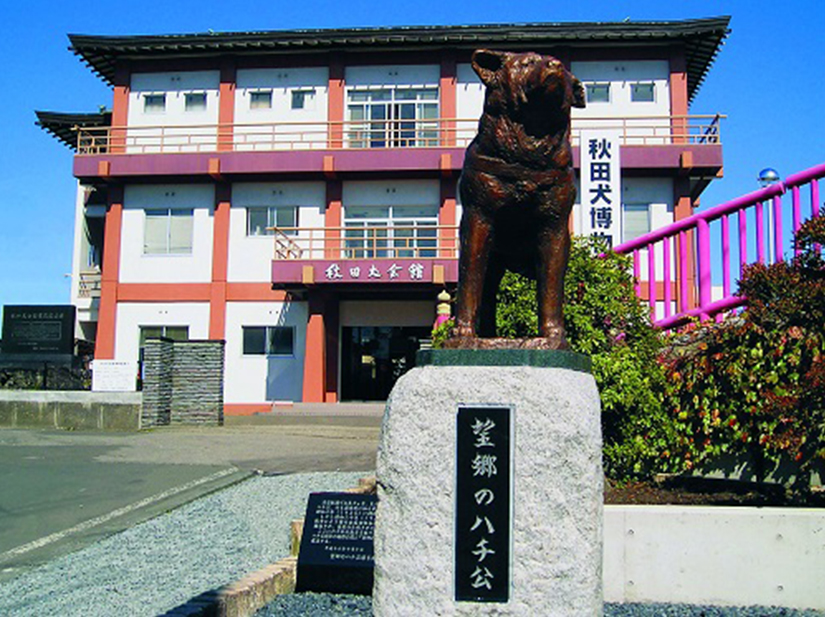 犬種団体が管理する日本で唯一の犬の博物館