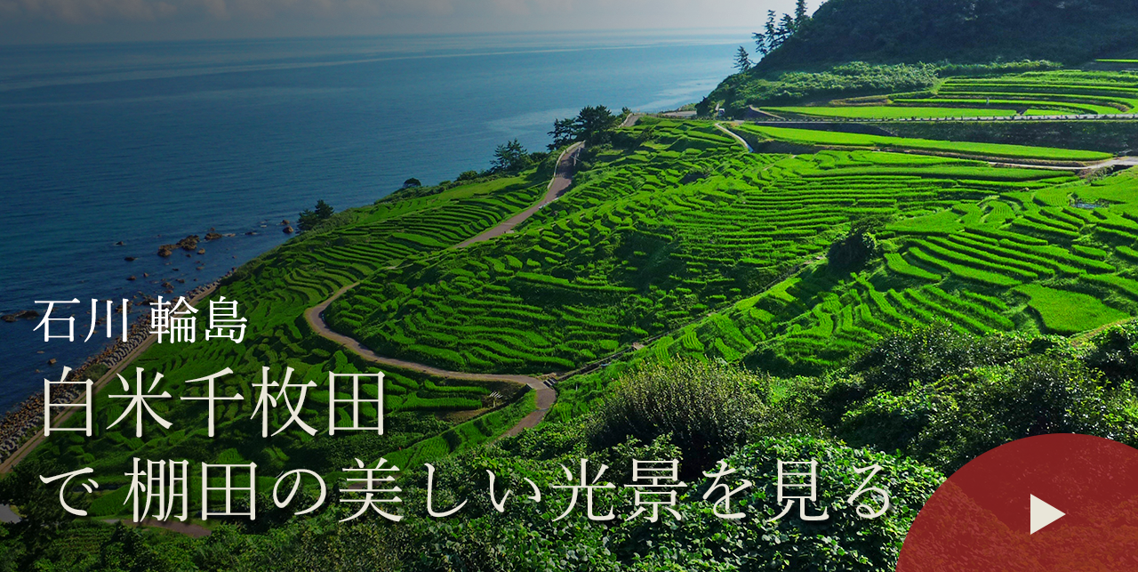 石川 輪島　白米千枚田で棚田の美しい光景を見る
