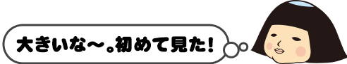 大きいな～。初めて見た！