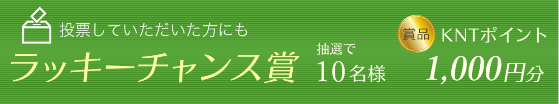 投票していただいた方にも「ラッキーチャンス賞」100名様 賞品:KNTポイント 1,000円分