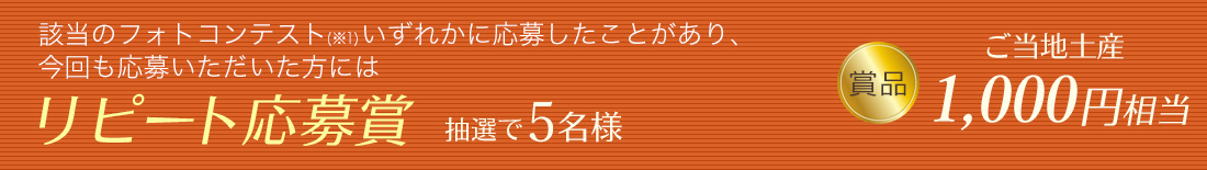 該当のフォトコンテスト(※1)いずれかに応募したことがあり、 今回も応募いただいた方には「リピート応募賞」5名様 賞品:ご当地土産1,000円分