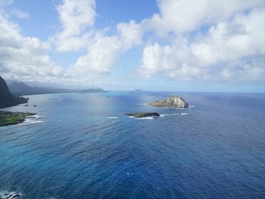 ハワイ 現地ハワイオフィスからのハワイとっておき情報 バックナンバー 近畿日本ツーリスト