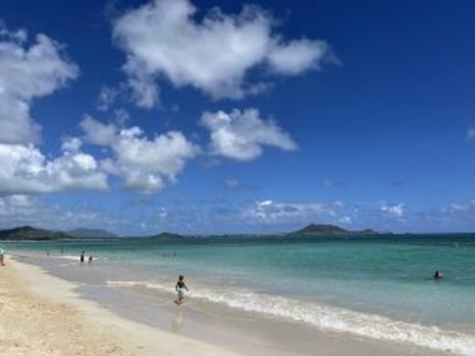 ハワイ 現地ハワイオフィスからのハワイとっておき情報 バックナンバー 近畿日本ツーリスト