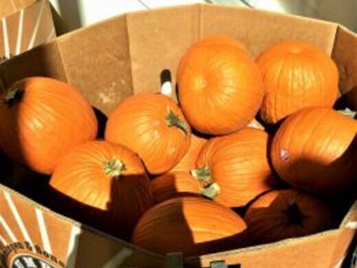 ハワイ 現地ハワイオフィスからのハワイとっておき情報 バックナンバー 近畿日本ツーリスト