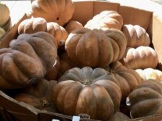 ハワイ 現地ハワイオフィスからのハワイとっておき情報 バックナンバー 近畿日本ツーリスト