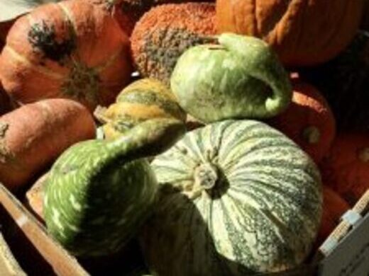 ハワイ 現地ハワイオフィスからのハワイとっておき情報 バックナンバー 近畿日本ツーリスト