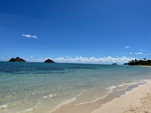 ハワイ 現地ハワイオフィスからのハワイとっておき情報 バックナンバー 近畿日本ツーリスト