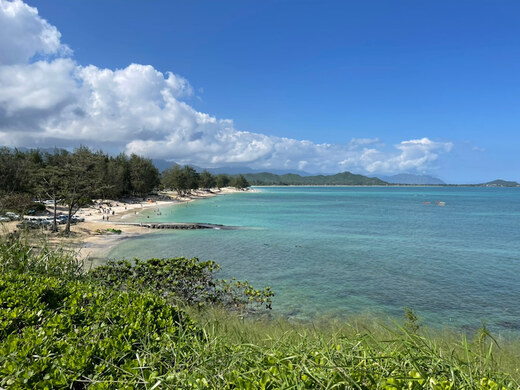 ハワイ 現地ハワイオフィスからのハワイとっておき情報 バックナンバー 近畿日本ツーリスト