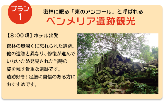 プラン①ベンメリア遺跡観光