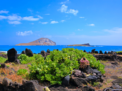 マナ」が宿るハワイの パワースポットを訪れる旅（東京発）│近畿日本