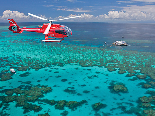オーストラリアキャンペーン実施中