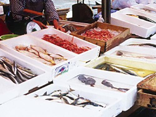 能登・金沢周遊の旅