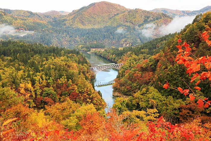 只見川と紅葉に色付く山間を走る只見線