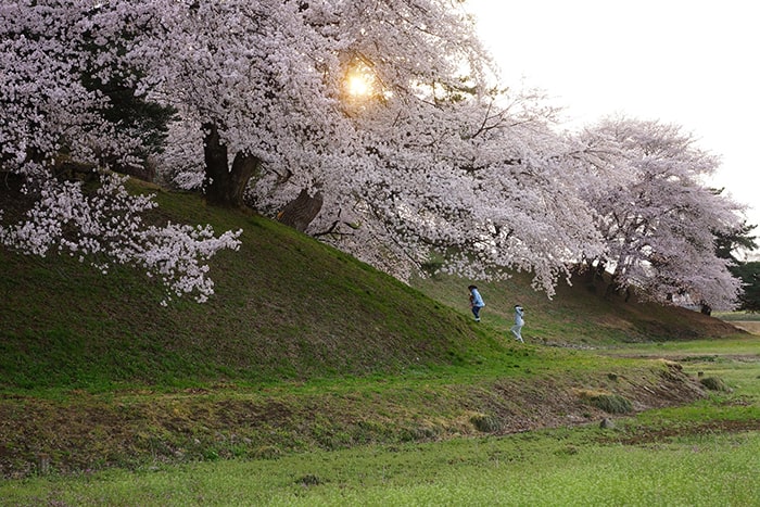 七輿山古墳