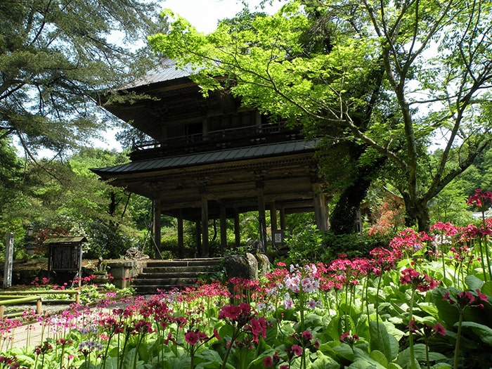 青龍山 吉祥寺