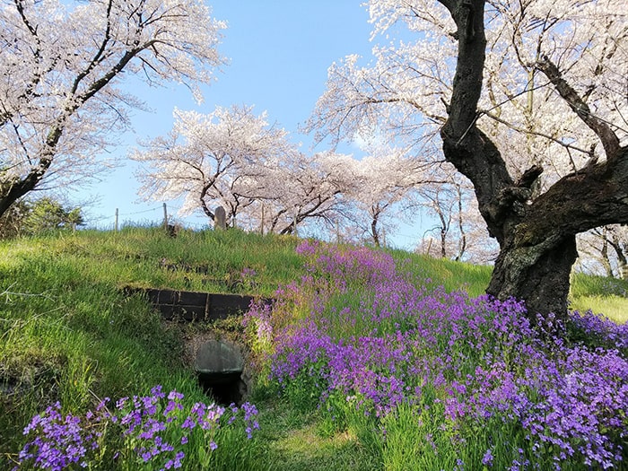 総社古墳群：総社二子山古墳