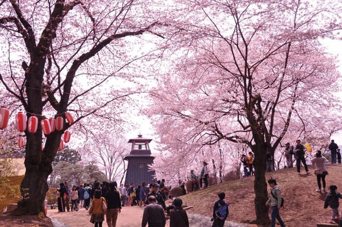 沼田城址（沼田公園）