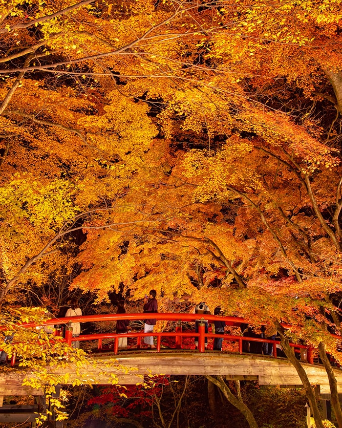 河鹿橋