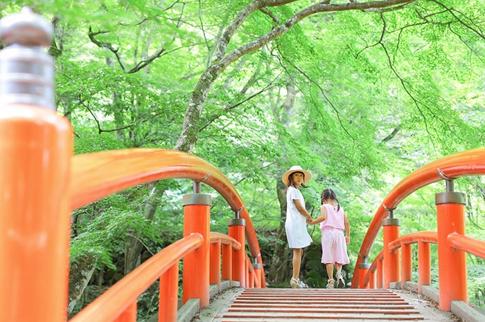 河鹿橋