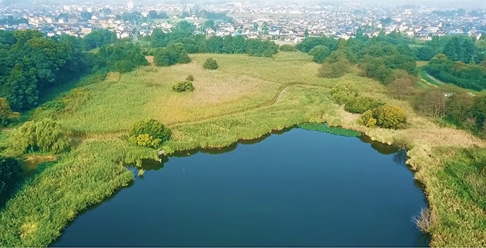 茂林寺沼湿原