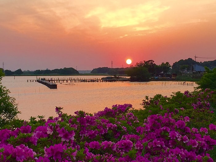 群馬県立多々良沼公園