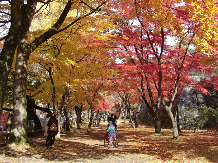 盛岡城跡公園