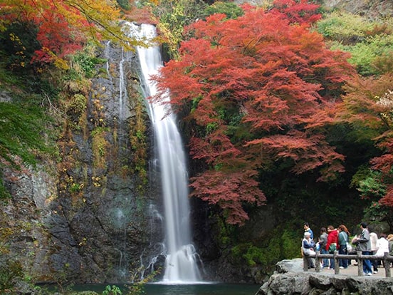 明治の森 箕面国定公園