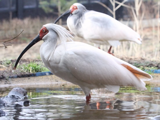 観光情報サイト みちしるべ 甲信越 新潟 近畿日本ツーリスト