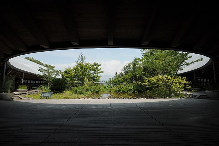 画像：高知県立牧野植物園提供