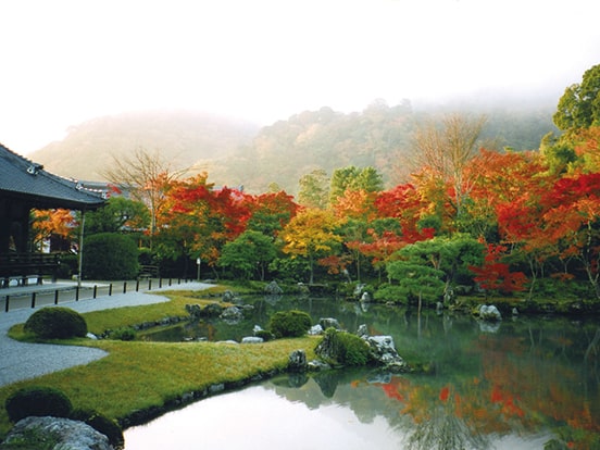 曹源池庭園（11月頃）　写真提供：天龍寺