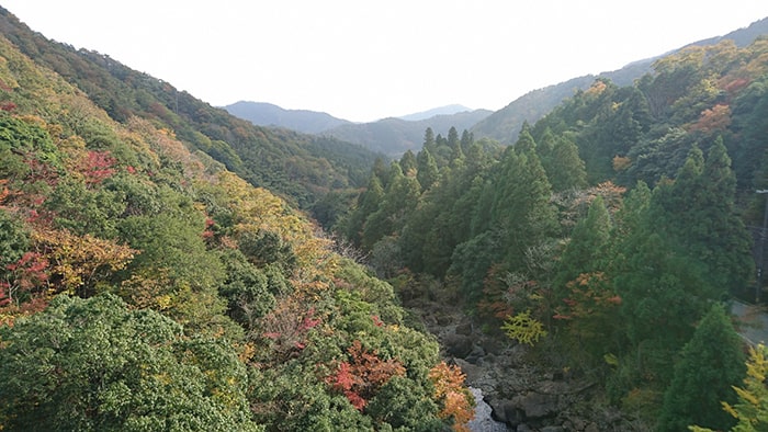 二瀬川渓流