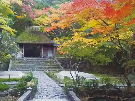 （11月頃）　写真提供：法然院