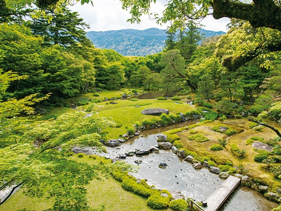 ©植彌加藤造園 撮影:相模友士郎