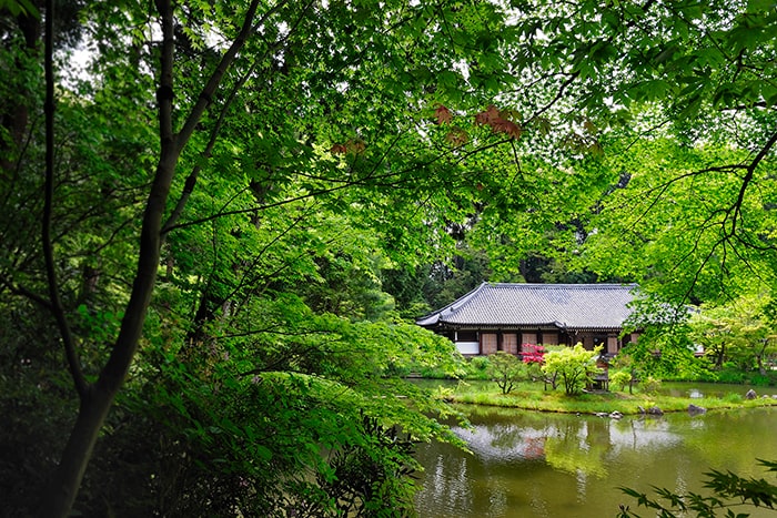 浄瑠璃寺   ⓒ一般社団法人 木津川市観光協会
